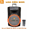 Loa Kéo Di Động BOK H18-29 (Bass 50cm, 2 Micro, 350W)