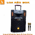 Loa Kéo Di Động BOK H15-29 (Bass 40cm, 2 Micro, 200W)