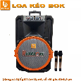 Loa Kéo Di Động BOK H15-31 (Bass 40cm, 2 Micro, 250W)