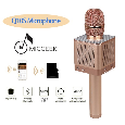 Q10s hát micro karaoke Loa kèm micro 3 trong 1 kết nối Bluetooth - Mic kèm loa