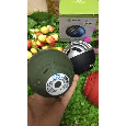 Loa Bluetooth mini New Rixing NR-1014