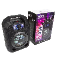 Loa kéo cầm tay B13 bluetooth