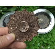 Con Quay Giảm Stress Hand Spinner - Fidget Spinner chữ tiếng anh