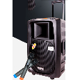 Loa Vali Kéo Di Động Hát Karaoke Temeisheng DP 2398T