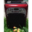 Loa bluetooth MS-111BT