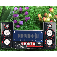 Loa Amoi SM-1106 Bluetooth dual SUBWOOFER