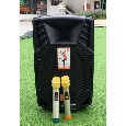 Loa kéo Jbz 302 (2 mic, 80W ,12 inch)