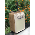 Loa bluetooth songmu D11 (30W , 1 mic , 12 inch )karaoke