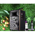 Loa kéo Jbz 305 ,2 mic, 200W ,12 inch