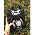 Loa bluetooth P53 P-53 xách tay