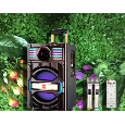 Loa kéo Jbz 308 ,2 mic, 100W ,10 inch , LED