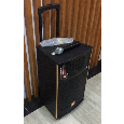 Loa kéo SL-302b Tlai ,1 mic, 100W ,8 inch