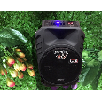 Loa kéo di động Temeisheng SL 15-08