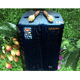 Loa kéo di động Temeisheng GD 15-14
