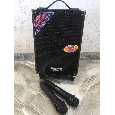 Loa kéo di động Temeisheng Q8S (Bass 2 tấc, 2 Micro)