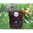 Loa bluetooth, karaoke Bk-810