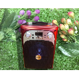 Loa bluetooth, karaoke Bk-1002
