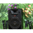 LOA KÉO ADS TB-T15F - 4 TẤC (CÔNG SUẤT 600W,2 mic, 15 inch)
