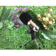 Micro Thu Âm MK - F500TL Condenser Microphone with Shock Mount