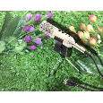 Micro thu âm - Karaoke MK-F400TL không cần Soundcard