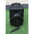 Loa kéo di động ADS BT-1 ( bas 30cm ,100W,1mic)