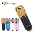 Mic thu âm BM800 đầu tròn AQTA