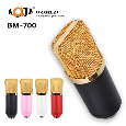Micro Thu Âm  BM-700 AQTA