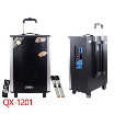 Loa Vali Kéo Tích Hợp Amply Temeisheng QX-1201