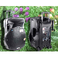 Loa Kéo Di Động Temeisheng A18-2F ( 15 inch, 2 mic, 250W)