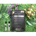 Loa Vali Kéo  Temeisheng QX-1205 (120W, 12 inch, 2 mic)