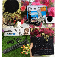 Bộ Combo Micro Thu Âm BM-900 + Sound Card V8 tieng anh + NB35 + POP