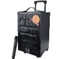 LOA KÉO DI ĐỘNG AIWA K113 (1MIC , 8 inch , 100W)