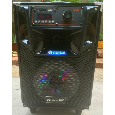LOA KÉO DI ĐỘNG AIWA K127 (1MIC , 10 inch , 500W)