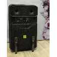 Loa kéo SOK NE-804 (15 inch , 2 mic , 240W) bass 40