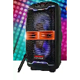 Loa kéo Temeisheng A6-20 ( 8 inch , 1 mic , 60W) bass 20