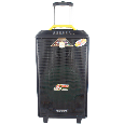 Loa Kéo TEMEISHENG QX-1214 (2 mic, 12, 120W)