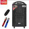Loa Kéo TEMEISHENG QX-1229 (2 mic, 12, 120W)