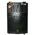 Loa Kéo TEMEISHENG QX-151 (2 mic, 15, 450W)