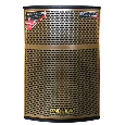 Loa Kéo TEMEISHENG QX-152 (2 mic, bass 4 tấc, 800W)