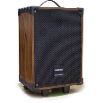 Loa kéo Temeisheng A12-42 ( 12 inch , 2 mic , 300W) bass 30 vỏ gỗ