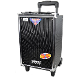 Loa kéo Temeisheng A50 ( 8 inch , 1 mic , 100W) bass 20