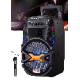 Loa kéo Temeisheng A8-41 ( 8 inch , 1 mic , 120W) bass 20