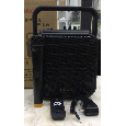Loa xách Zansong A6-4 ( 6 inch , 1 mic , 15W) bass 15