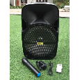 Loa kéo Wili WP-42 ( 12 inch , 1 mic , 1800W) bass 30