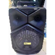 Loa Kéo Wili D2 ( 8 inch , 100W, 1 mic) bass 20