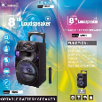 Loa hát karaoke bluetooth MN09 (8 inch, 1 mic, 100W) bass 20