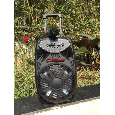 Loa kéo PK-09L ( 8inch , 1 mic , 80W) bass 20