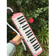 Kèn Melodica / Pianica