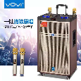 Loa Kéo VOVI 10 (Bass 25cm, 2 Micro UHF)