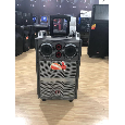 Loa kéo DTC 10B (2 Micro)